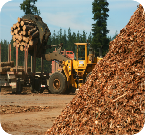 Permalink to:Mobilització de fusta i biomassa